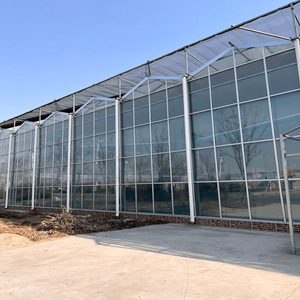 Moth Orchid Cultivating Glass Greenhouse For Agriculture