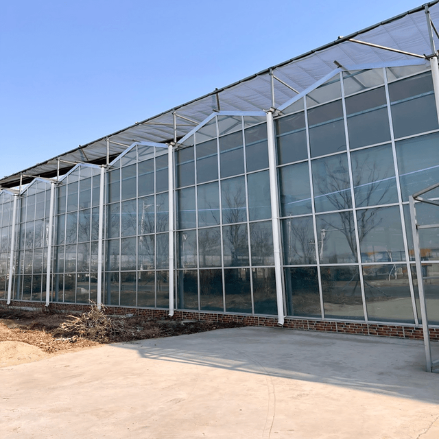 Moth Orchid Cultivating Glass Greenhouse For Agriculture