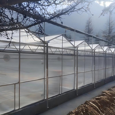 news_main_image_Multi-Span-PC-Greenhouse2500149237242977326.jpg