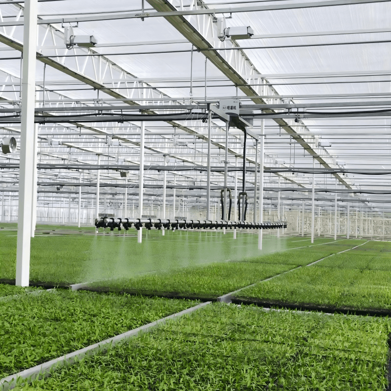Glass Greenhouse Maintenance