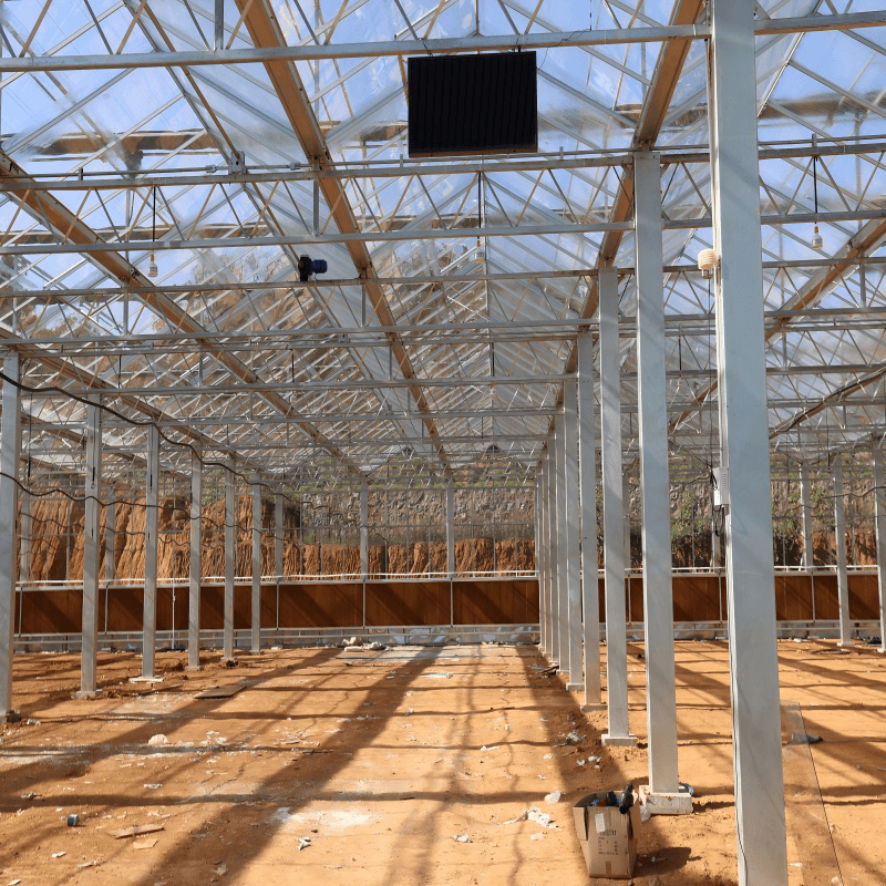 Commercial Floriculture Glass Greenhouse
