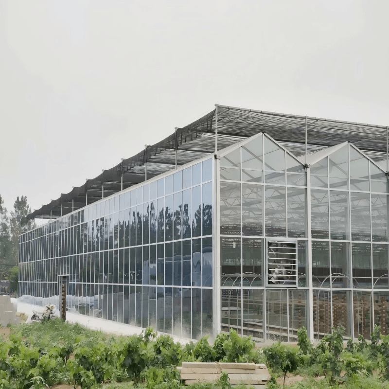 Best High Yield Crops For Glass Greenhouse