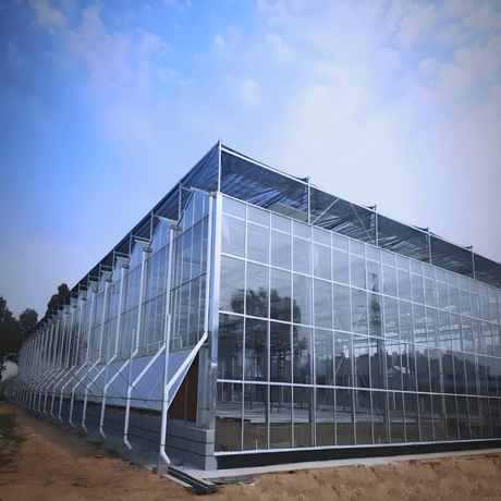 news_main_image_Glass-Greenhouse2467917179430042715.png