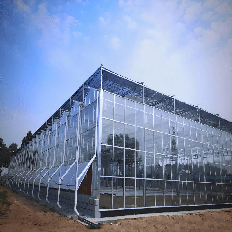 Glass Greenhouse Maintenance: Essential Tips for Beginners