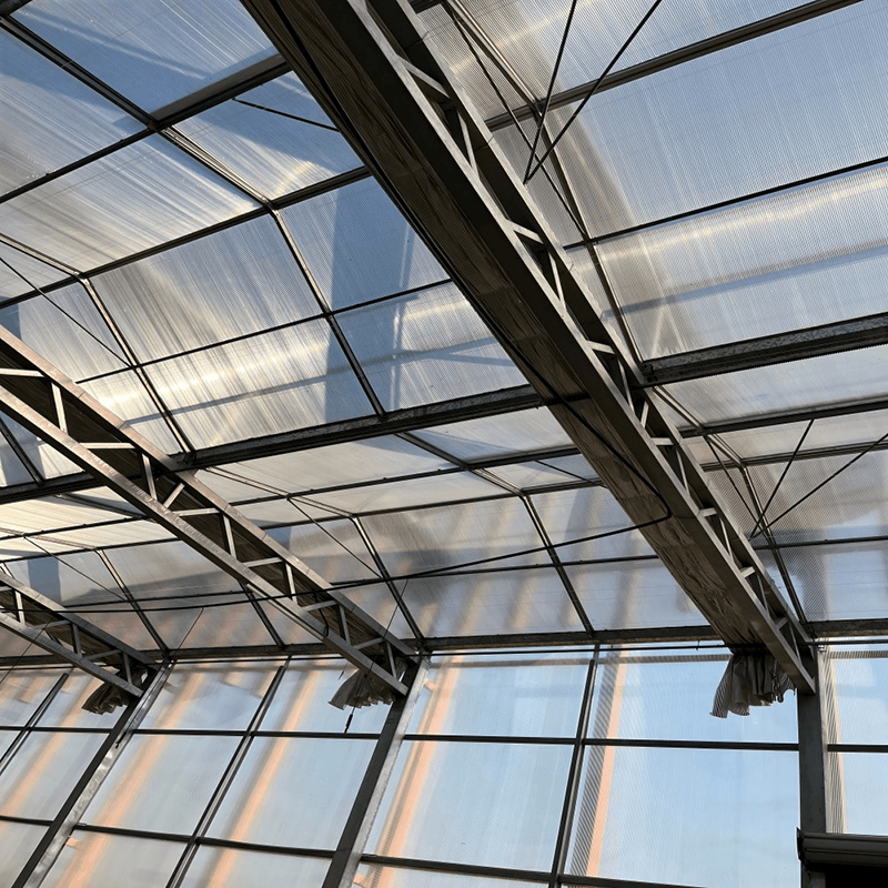 Polycarbonate Greenhouse Cleaning