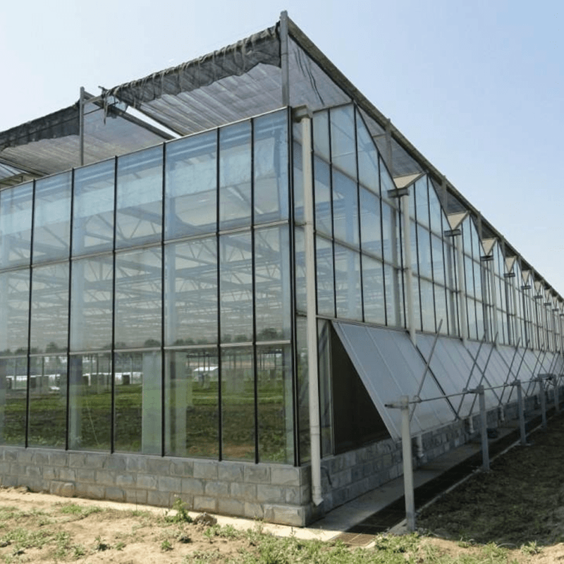 Multi-purpose Glass Agricultural Multi-span Greenhouse
