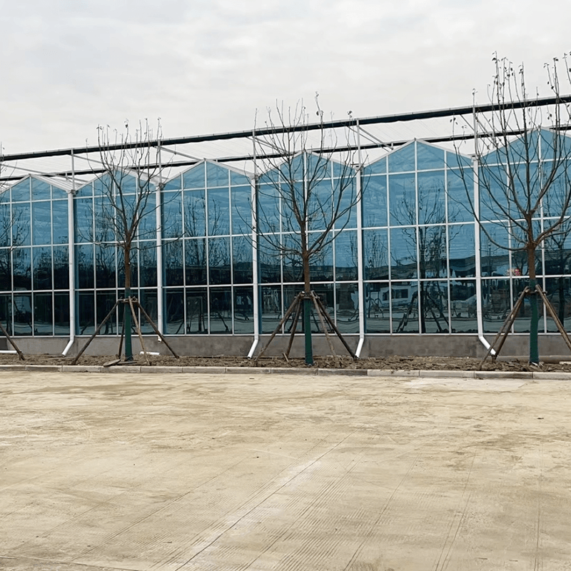 Glass Greenhouse Vs Polycarbonate: Which Lasts Longer?