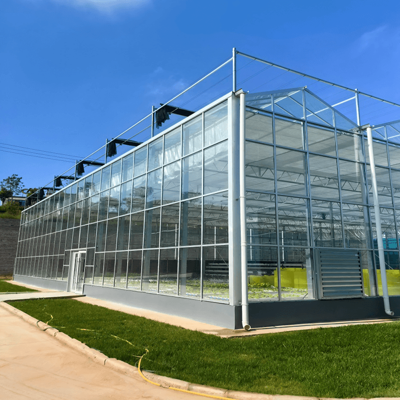 What Can I Grow in A Greenhouse All Year Round?
